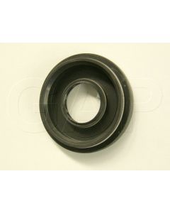 0208250067 SEAL MAIN (SMALL LIPS)