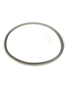 0208300029 SEAL DOOR