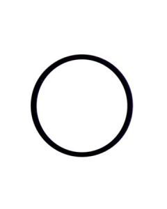 47308 RING 'O' VITON LP