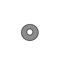 50097586007 LOCK WASHER