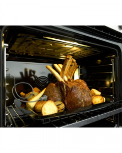 FP545429 PROBE MEAT OD/OS301